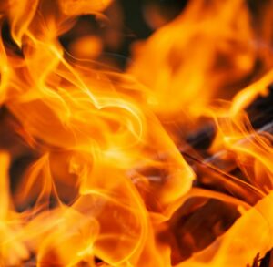 Pitta Dosha · Fuego y transformación · Āyurveda · Tejas Āyurveda